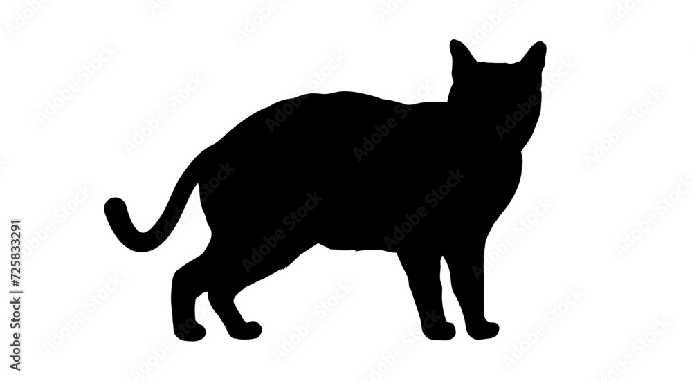  silhouette of  cat - vector illustration