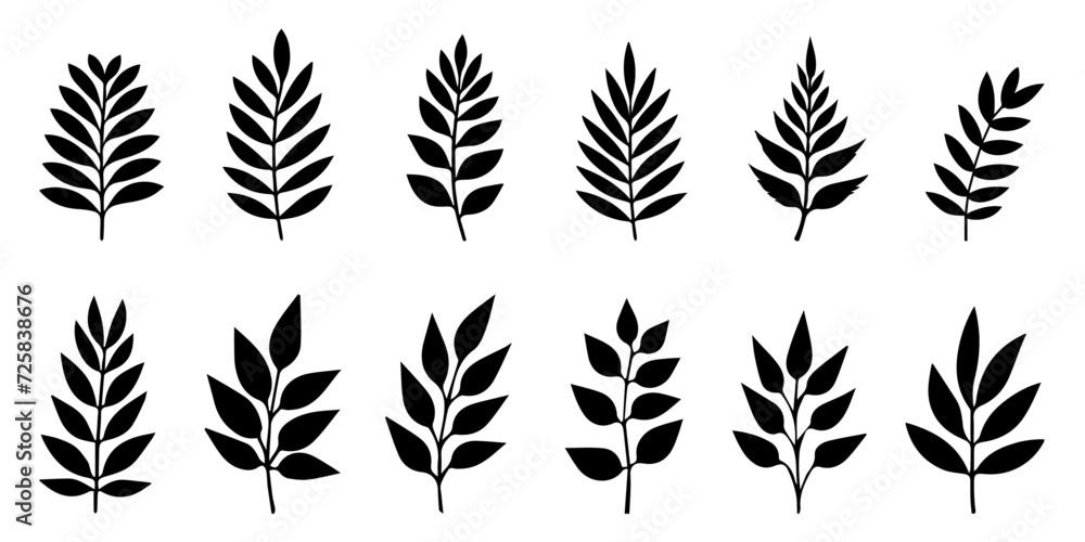 Vector set of different leaves - obrazy, fototapety, plakaty 