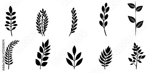 Vector different leaves set, isolated on white