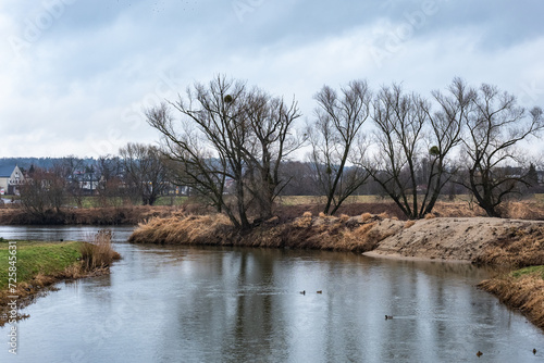 Rzeka Osobłoga w wiejskim krajobrazie z drzewami bez liści