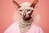 A picture of a cat wearing a pearl necklace. Perfect for pet lovers and fashion enthusiasts