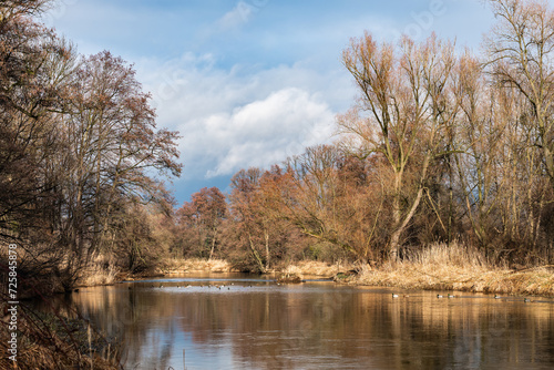 Fototapeta Naklejka Na Ścianę i Meble -  Krajobraz Rzeczny z Drzewami o Jesiennym Ubarwieniu