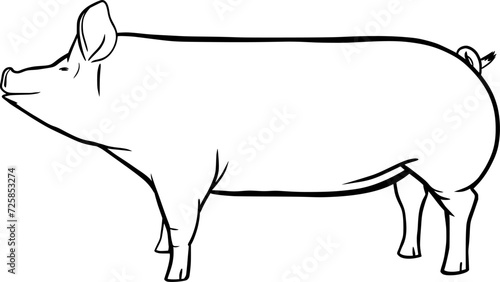 Pig vector outline illustration cut out