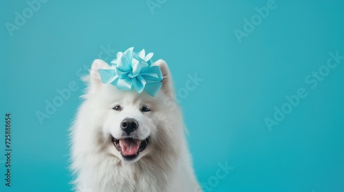 dog with red bow on head, clean pastel background © Maryna