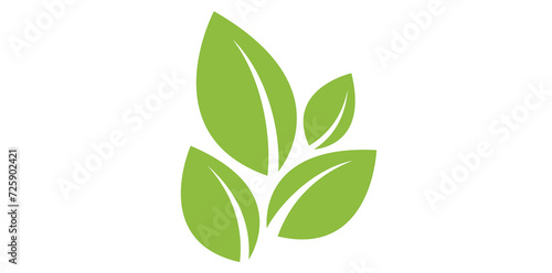 Eco Green Leaves Icon Isolated On White Background.