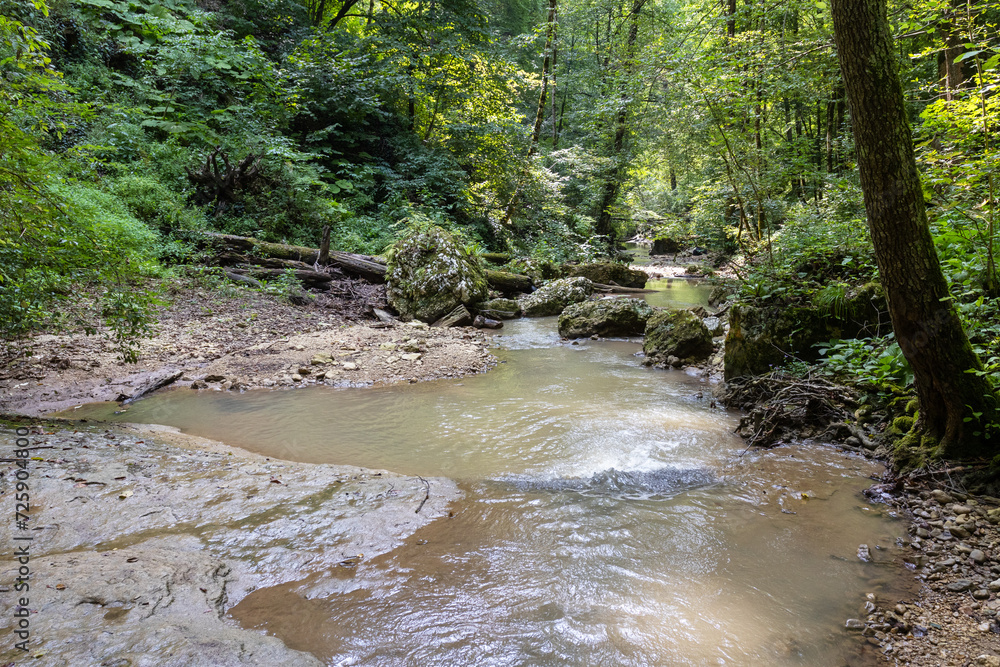 Morning on a mountain river, awakening in nature summer sunny mood. Morning on a mountain river, awakening in nature summer sunny mood.