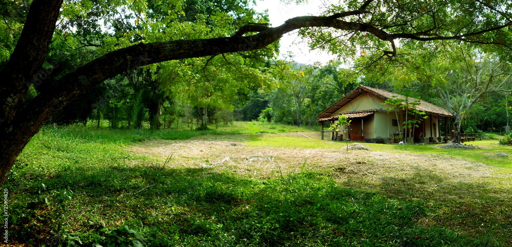 Cabaña en el bosque Cabaña en el bosque
