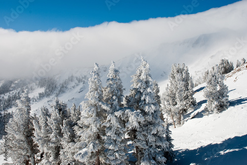 Mammoth lakes, CA