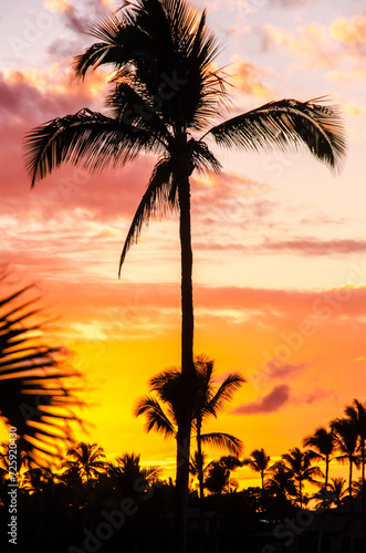 Tropical Sunset Hawaii
