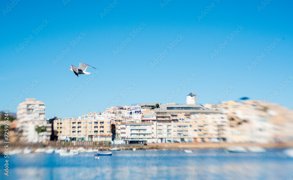 Seagulls in flight in the port