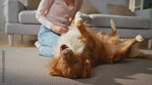 Playful dog lying carpet playing with loving woman close up. Pet having fun home photo