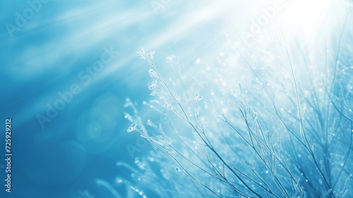 Frosty branches against a soft blue background bathed in sunlight. Winter serenity and nature's stillness © Aimee