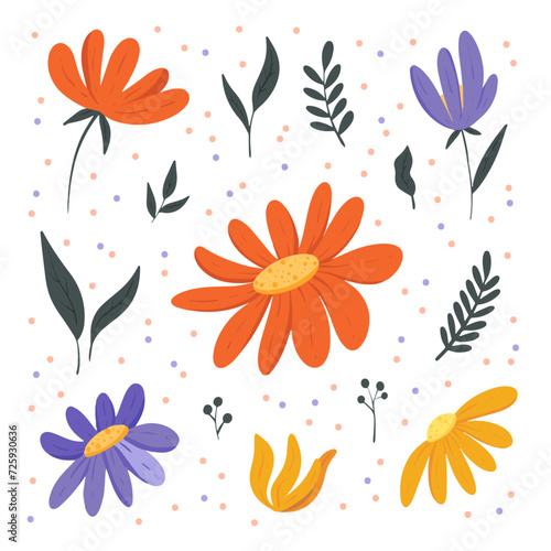 Collection of vector flowers isolated on white, orange and purple flowers