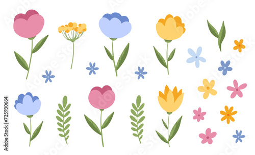 Set of colorful flowers, vector spring clipart, isolated elements on white background. Collection of cute floral elements.