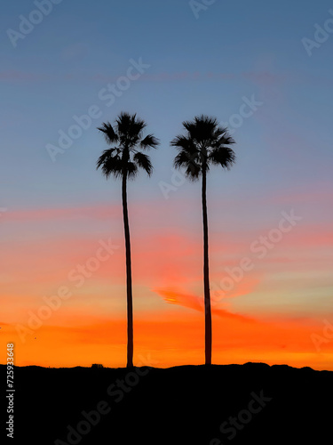 Fototapeta Naklejka Na Ścianę i Meble -  Summer sunset with dramatic orange sunset and silhouette of isolated palm trees on the beach 