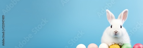 White Rabbit in Front of Colorful Eggs