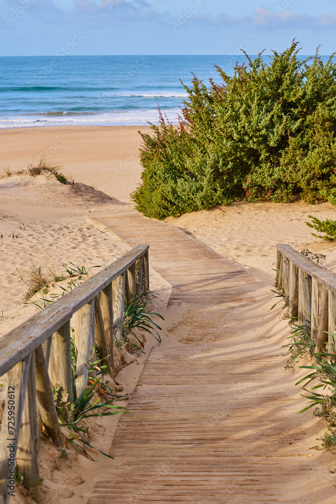 Wooden path to the sea through sand dunes overgrown with bushes