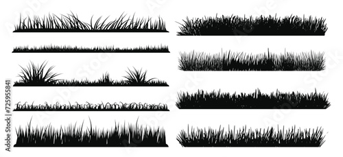 Set of Black Grass Silhouettes on White Backround