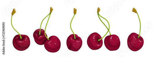 Set of juicy ripe red cherries. Vector graphics.