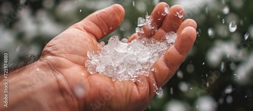 Man's hand displaying hail ice spheres fallen on his garden, showcasing resilience in the face of nature's impact.