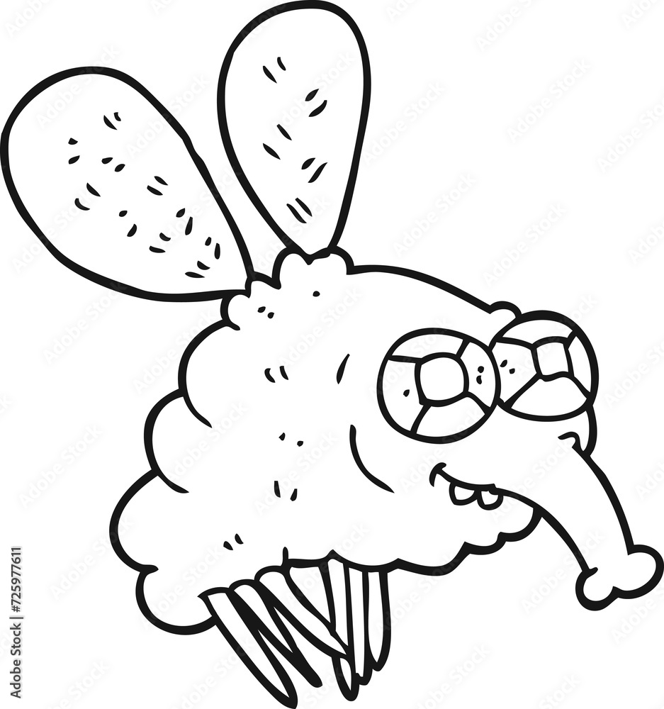black and white cartoon fly black and white cartoon fly