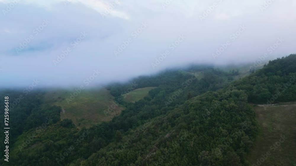 A mountain in the clouds. Clouds. White clouds. Overcast weather. Green mountain. Coniferous trees. An aerial view. Green hills into trees. Summer. Autumn. High quality 4k footage A mountain in the clouds. Clouds. White clouds. Overcast weather. Green mountain. Coniferous trees. An aerial view. Green hills into trees. Summer. Autumn. High quality 4k footage