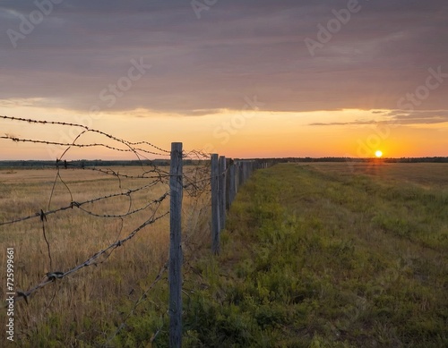 Barbed wire fence against a sunset background. To illustrate articles and materials related to restricted access  security  borders  military bases or prisons.