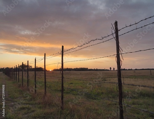 Barbed wire fence against a sunset background. To illustrate articles and materials related to restricted access, security, borders, military bases or prisons. © Pink Zebra
