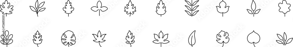 Collection of thin line icons of leaves. Linear sign and editable stroke. Suitable for web sites, books, articles Collection of thin line icons of leaves. Linear sign and editable stroke. Suitable for web sites, books, articles
