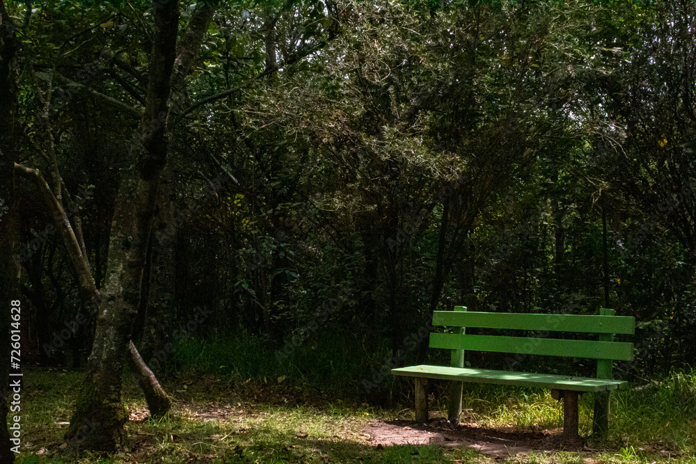 silla solitaria en el bosque
