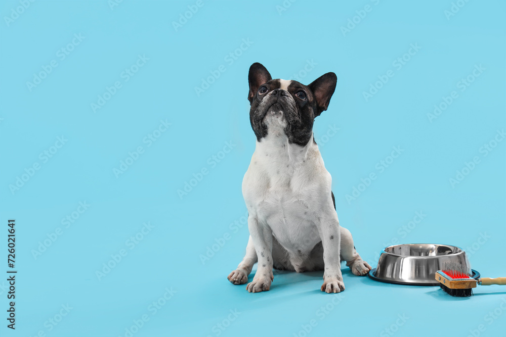 Cute French Bulldog with bowl and brush on blue background