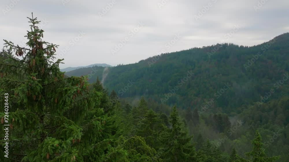 Drone capture of mist over mountainous woodland Drone capture of mist over mountainous woodland
