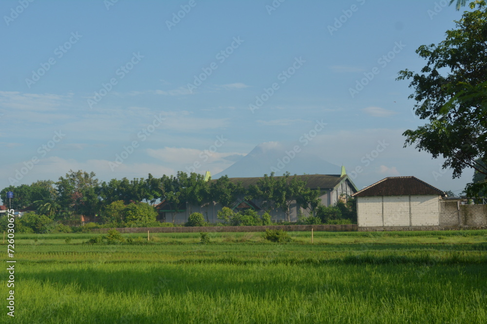 View of rice fields in a background of Mount Merapi in Yogyakarta, Indonesia