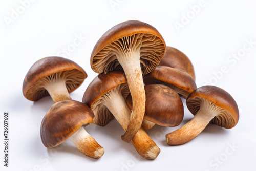 Mushrooms on white, studio advertising light. Background with selective focus and copy space