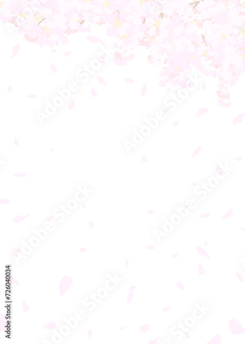 白い背景にふわふわした桜　ベクターイラスト