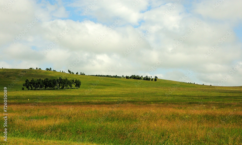 Gentle slopes of the hill overgrown with rare trees on the edge of the picturesque steppe under the summer cloudy sky.