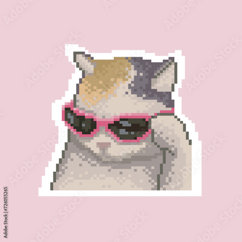 Cat with pink glasses, pixel art meme