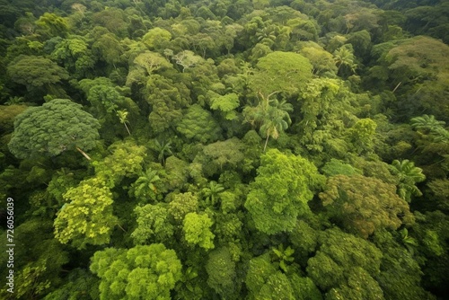 Aerial view of lush rainforest canopy. Generative AI