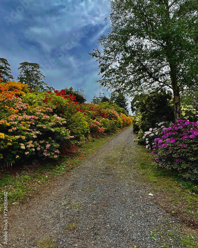 path in the garden © Joanna