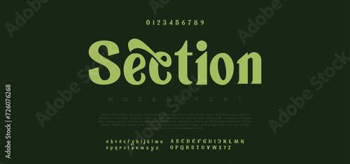 Section Elegant modern alphabet letters font. Classic Lettering Minimal Fashion Designs. Typography modern serif fonts regular decorative vintage concept. vector illustration photo