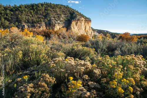 Fall colors and desert brush surround a prominant rock formation