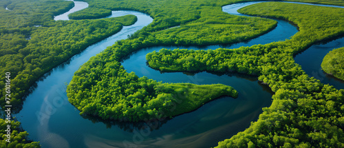 Captivating Aerial View of Meandering Rivers Cutting Through Lush Greenery in a Vibrant Natural Landscape
