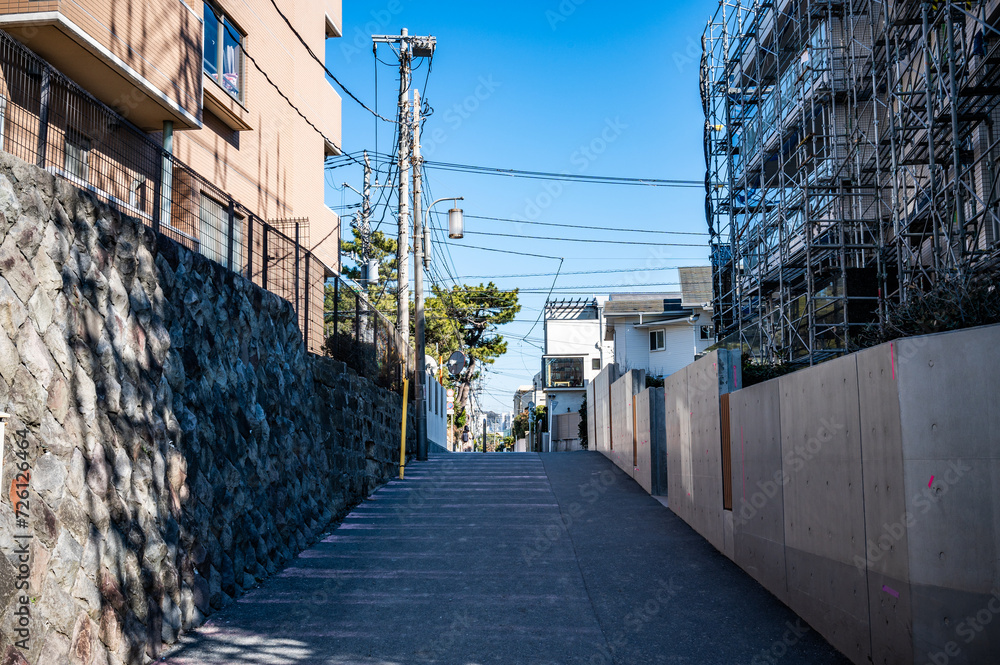 Obraz premium 神奈川県の逗子海岸