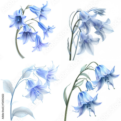 tranquil bluebell clipart, symbolizing constancy and everlasting love, with gentle blue petals, on a white background.  photo