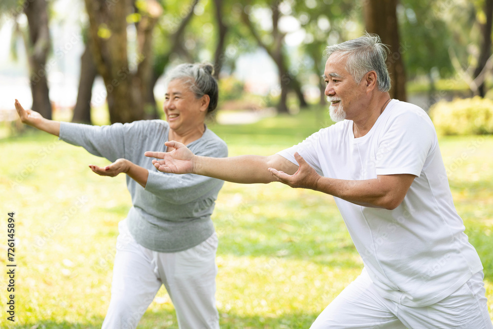 asian senior couple workout and practice tai chi in the park