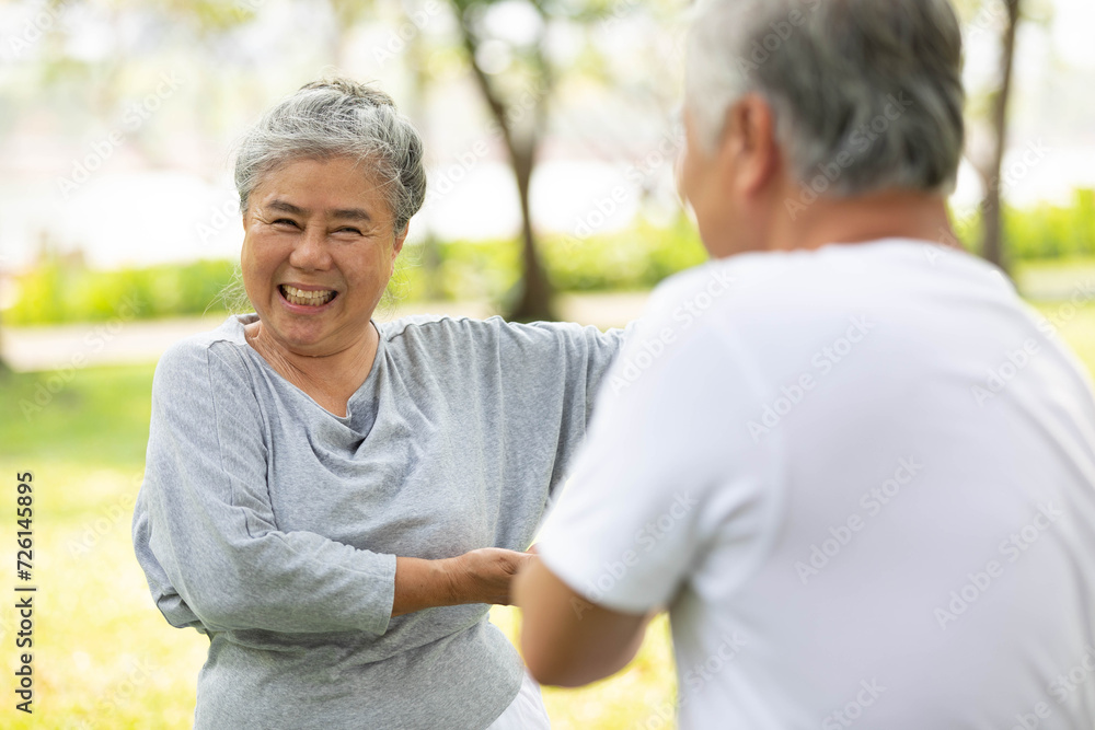 Obraz premium asian senior couple workout and practice tai chi in the park