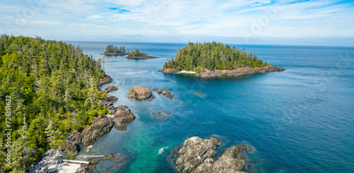 Trees and Island on West Coast of Pacific Ocean. Aerial Nature Background. Vancouver Island © edb3_16