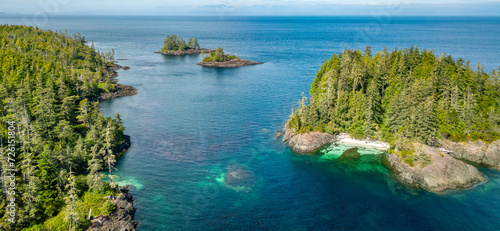 Fototapeta Naklejka Na Ścianę i Meble -  Trees and Island on West Coast of Pacific Ocean. Aerial Nature Background. Vancouver Island