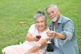 senior couple picnic and holding red wine glass together in the park