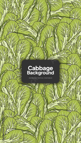 Cabbage illustration, tropical vegetable background design template